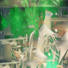 Wolf In Sheep's Clothing [Flex Malik]