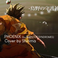 SHIRIMA COVER PHEONIX BURNOUT SYNDROM