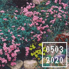 20200503