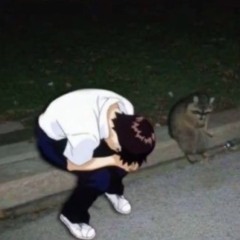 IMTIRED prod.cabernett