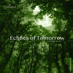 Echoes of Tomorrow (Late Night Sky Mix)