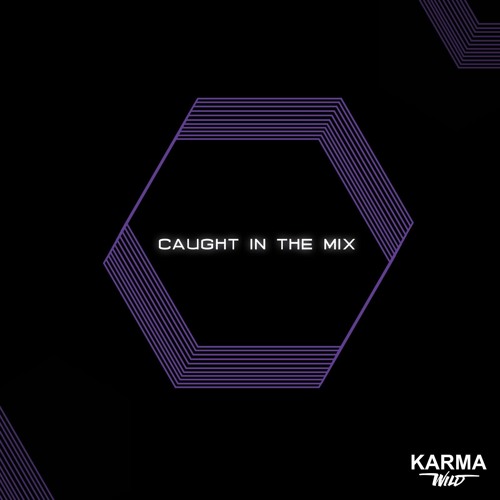 CAUGHT IN THE MIX - 29