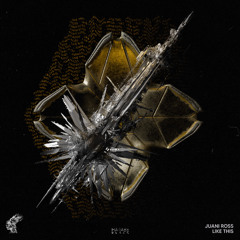 Juani Ross - Like This [Harabe Black]