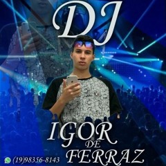 VAI SER SOCADA COM RAIVA BOTADA - DJ IGOR FERRAZ