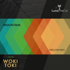 Mountain (Woki Toki Remix)