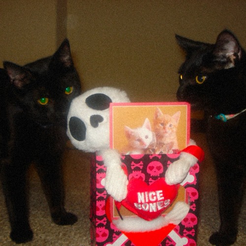 rain on valentine’s (hold tight)