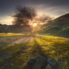 وقائلةٍ والدمْعُ سَكْبٌ مُبادِرٌ