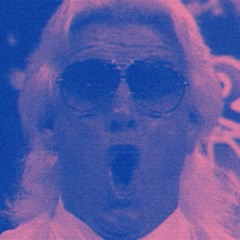 Eurodaddy and Shoez Plimsoul- Custom Made