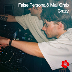 It's Time (VIP) [feat. Mall Grab]