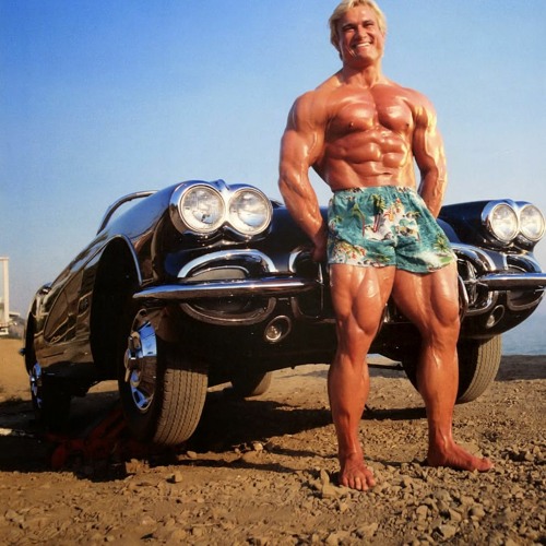 'purpose' Kevin Levrone x Tom Platz - Blank (glare)