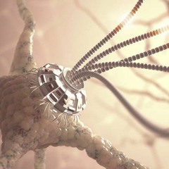 The Microphenotron Diagnostic