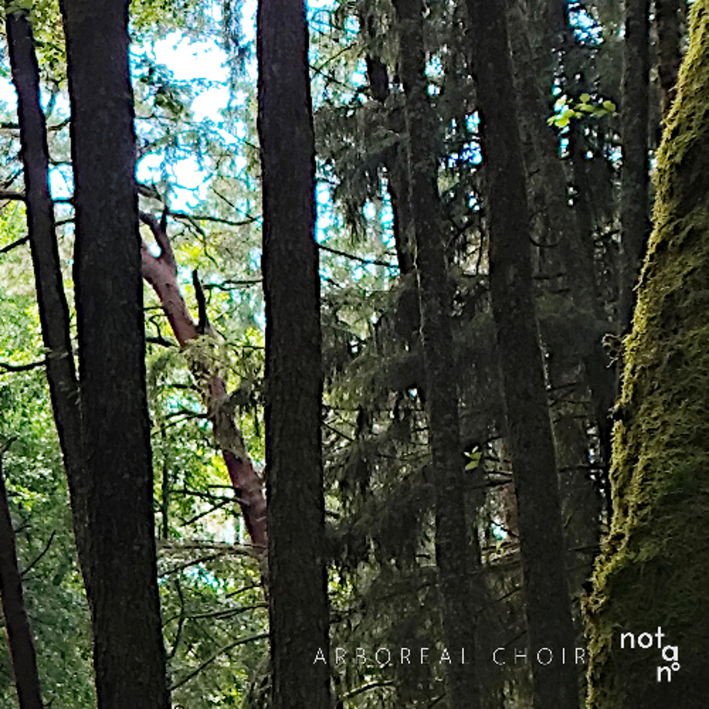 Arboreal Choir episode artwork
