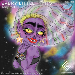 Tony Metric - Every Little Thing (Mr.Martin" Acid Lights" Remix)