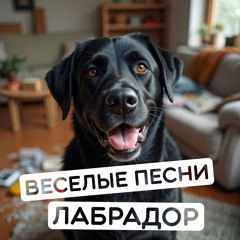 Лабрадор
