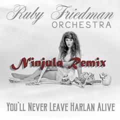Ruby Friedman Orchestra - You'll Never Leave Harlan Alive (Ninjula Remix)