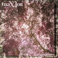 SNFLP012 // maXIon - Curvatures LP