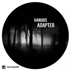 Adapter (Original Mix)