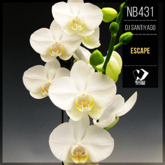 DJ Santiyago - Escape (Original Mix)