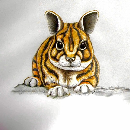 Striped #5 - Adomani