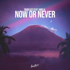 RudeLies ft. ANIELA - Now or never