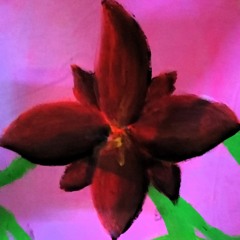 Reikja @ Janoschs Traumstunde 2o24