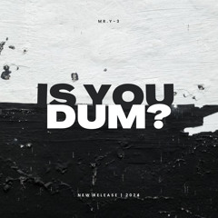 Mr.Y-3 – Is You Dum