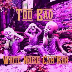 Too Bad (feat. Cam'Ron)