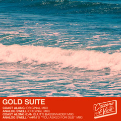 PREMIERE: Gold Suite - Coast Along (Dan Idjut's Bassinvader Mix) [Citizens Of Vice]