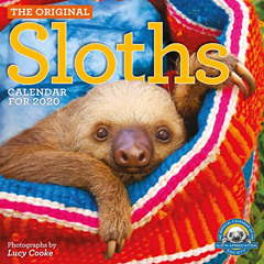 DOWNLOAD PDF 📪 Original Sloths Wall Calendar 2020 by  Lucy Cooke &  Workman Calendar