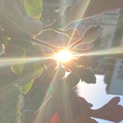 staring at the sun reverb sax