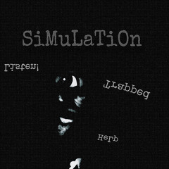 SiMuLaTiOn