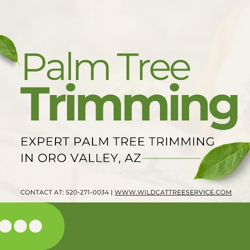 Palm Tree Trimming 1 Oro Valley AZ - Wildcat Tree Service