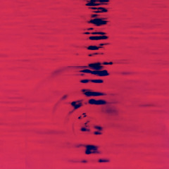 Recor (Songuine Remix)