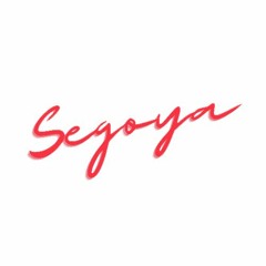 Segoya's Session 01 - TechHouse MiniMix