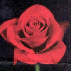 The One That You Love