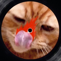 Lin Tid Fire (Remix)