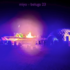 Miyo - Beluga 23