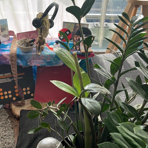 Unraveller - Love for Life and Unity