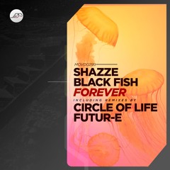 PREMIERE: Black Fish, SHAZZE - Forget (Futur-E Remix) [Movement Recordings]