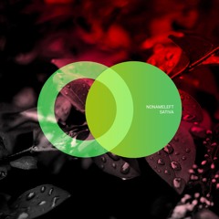 Chase the Light (Original Mix)