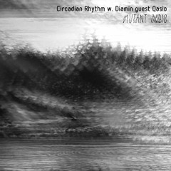 Circadian Rhythm w. Diamin guest Qasio [12.10.2022]