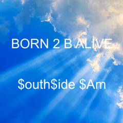 BORN 2 B ALIVE (ALWAYZ B READY) THE INTRO