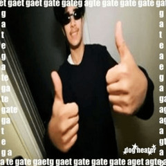 9090gate - Roshinas Interlude