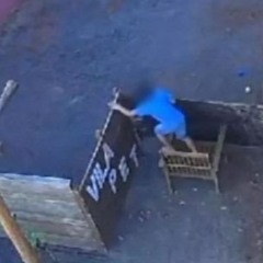 Crianca Mata 23 Animais Crianca De 9 Anos Mata Animais  Crianca De 9 Anos Mata 23 Animais