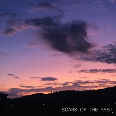 scars of the past (ft. manni ✰)