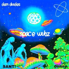 donny. x SANT! - space wubz