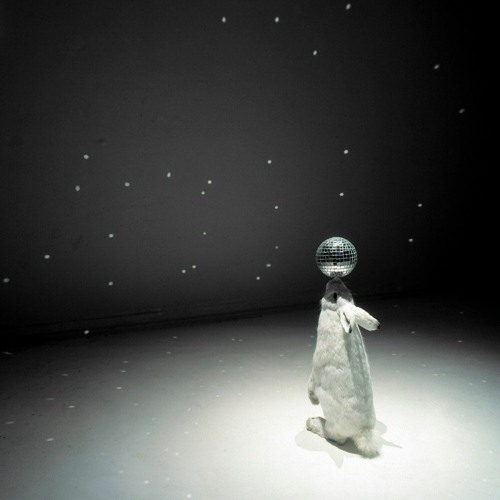 Dark Side Of  Rec 08.2022