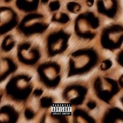 xai-leopardprint (prod meh)