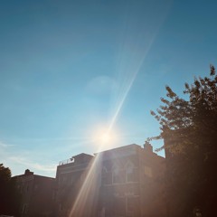 Daydream Reflections, New Beginnnings