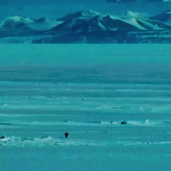 айсберг (but why?)